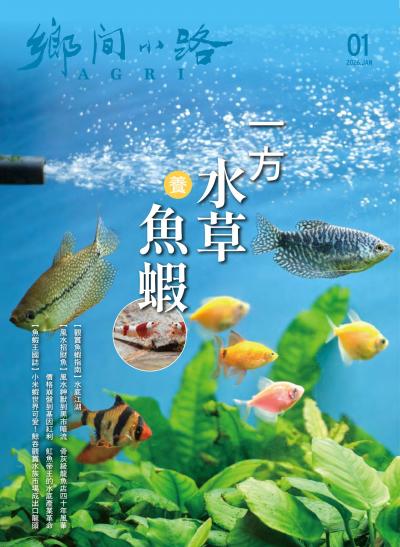 鄉間小路 2026年1月號 一方水草養魚蝦