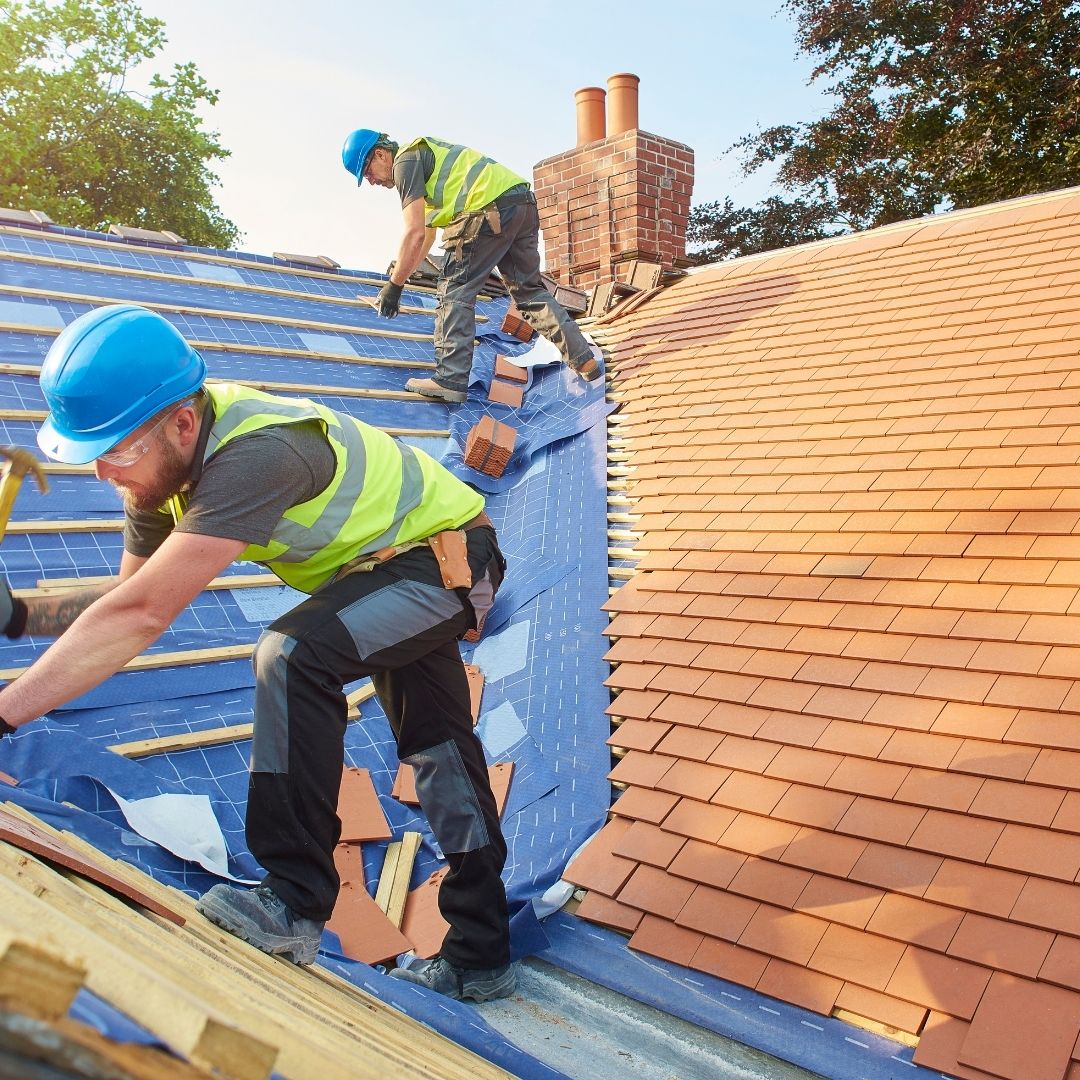 DaVinci Roof Lifespan