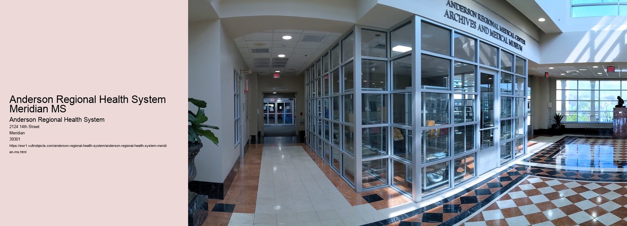 Anderson Regional Health System Meridian MS