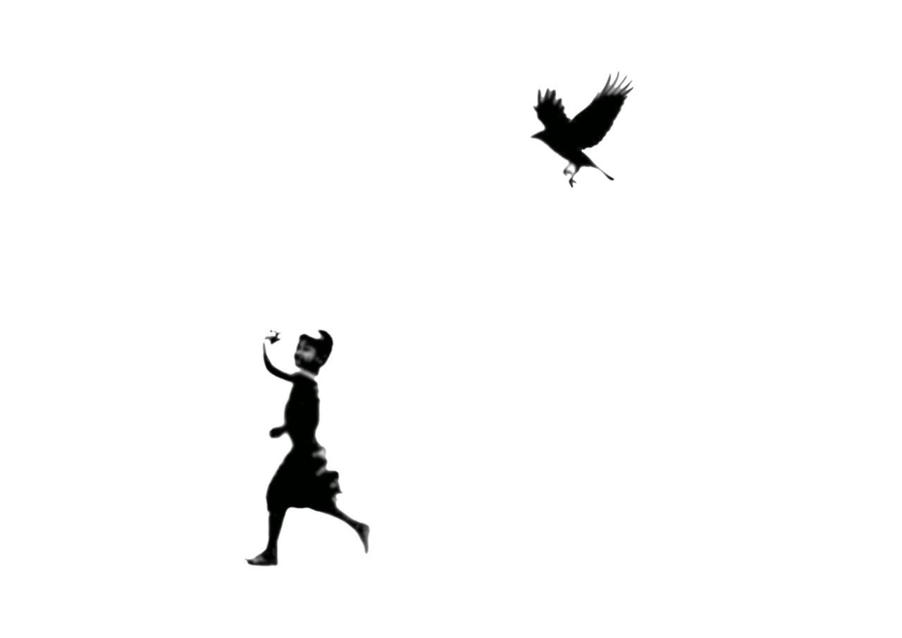 Soltador de pássaros | Fly a bird