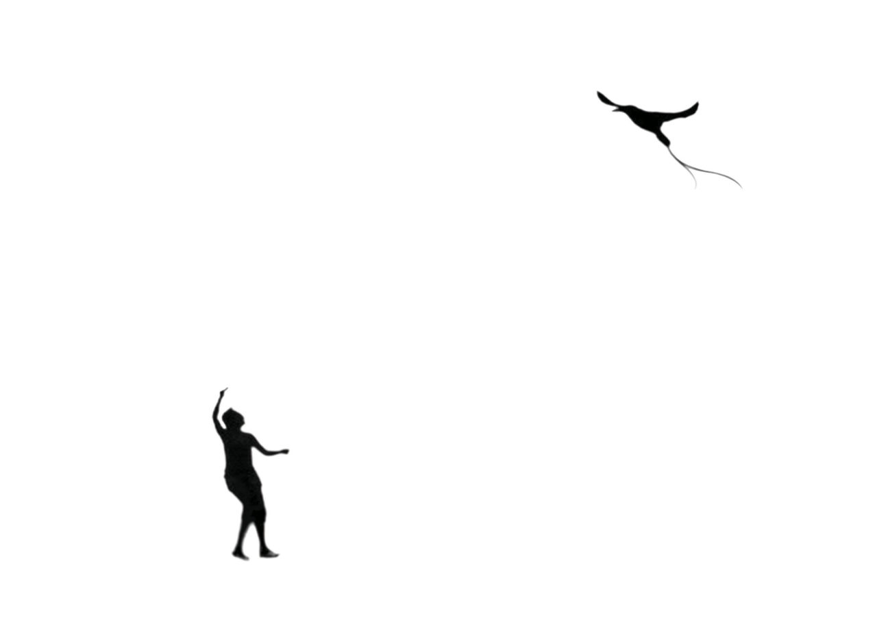 Soltador de pássaros | Fly a bird