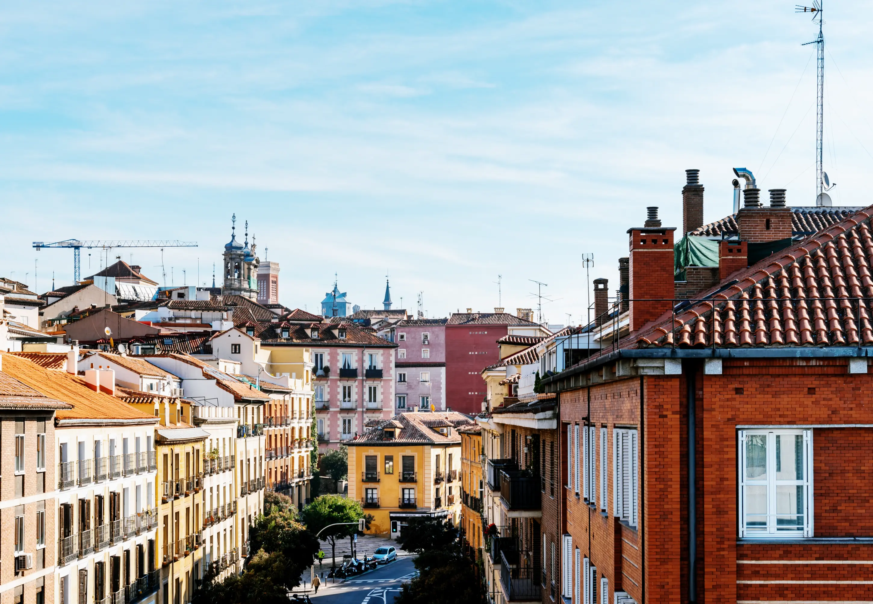 Elche study destination in Spain