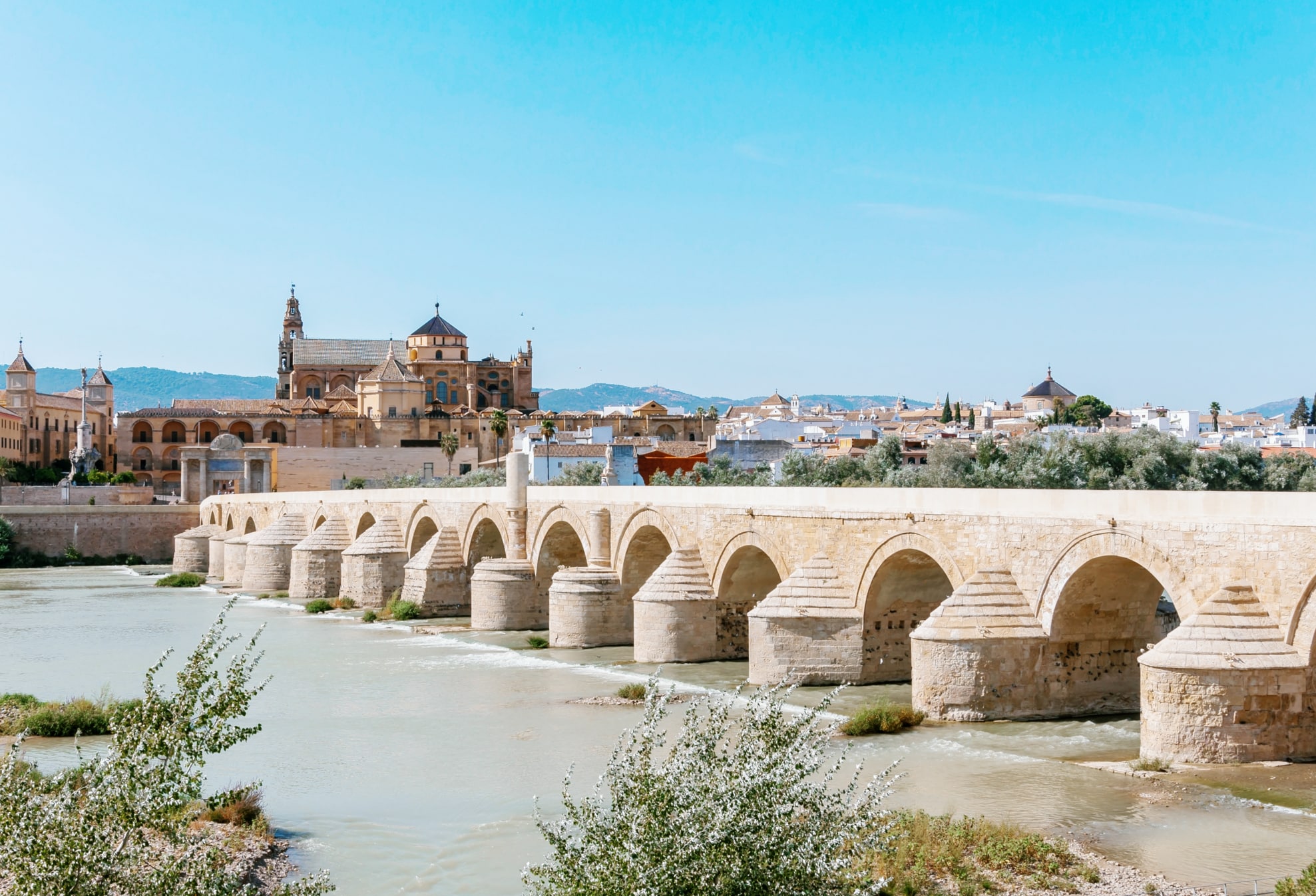 Study in Cordoba, Spain