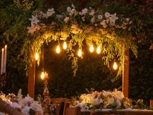 Customizable Holiday Lighting for Every Occasion