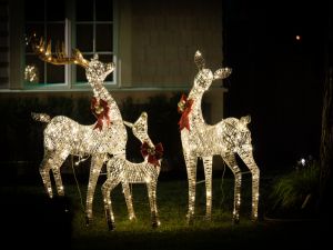 Landscape Lighting That Boosts Property Value