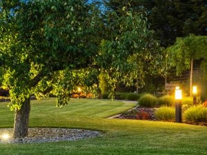 Smart Lighting for Outdoor Spaces in Round Rock Astoria Lighting Co Smart Lighting for Outdoor Spaces in Round Rock