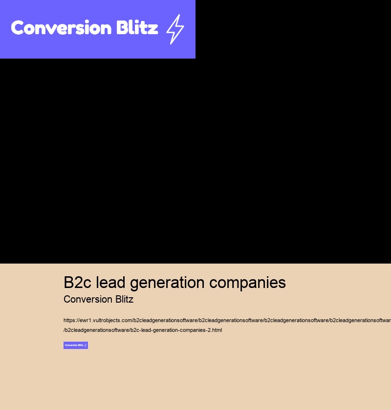 b2c lead generation companies Conversion Blitz b2c lead generation companies