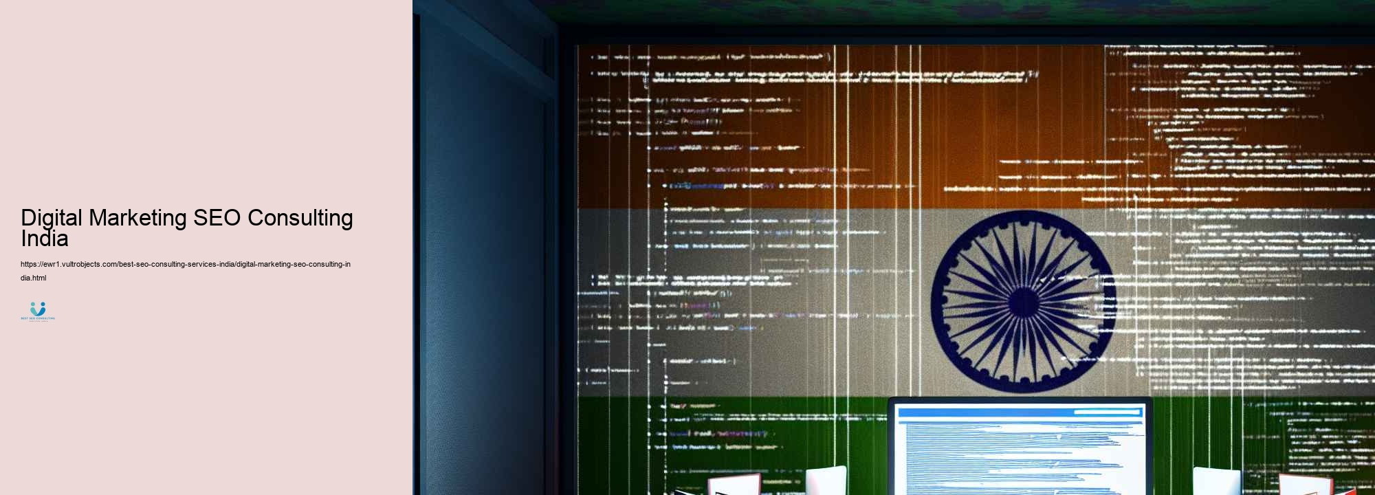 A Detailed Overview to Situating the Best SEO Consulting Carriers in India