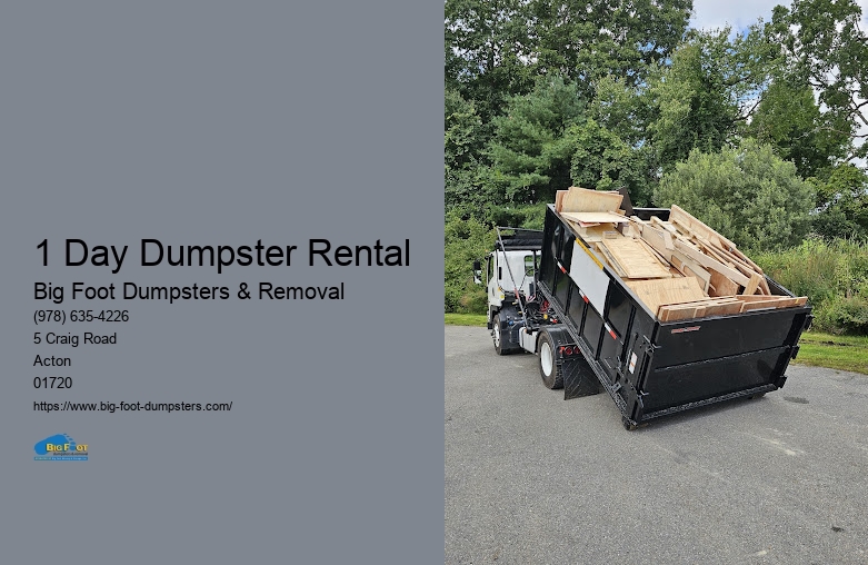 big dumpster rental