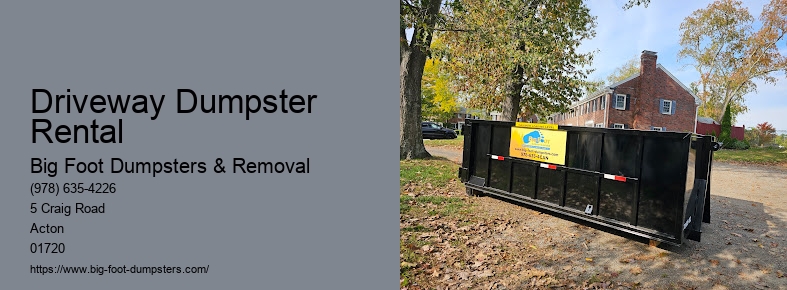 small dumpster rental cost