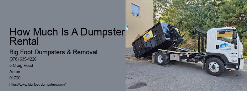 what can you put in a dumpster rental