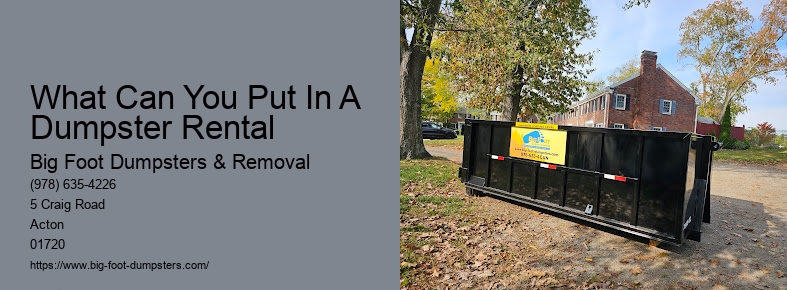 dump it dumpster rental