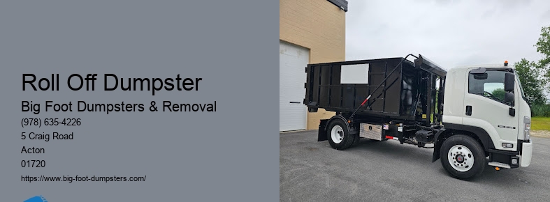 demo dumpster rental