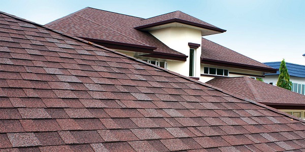 Why do roofing companies go door-to-door