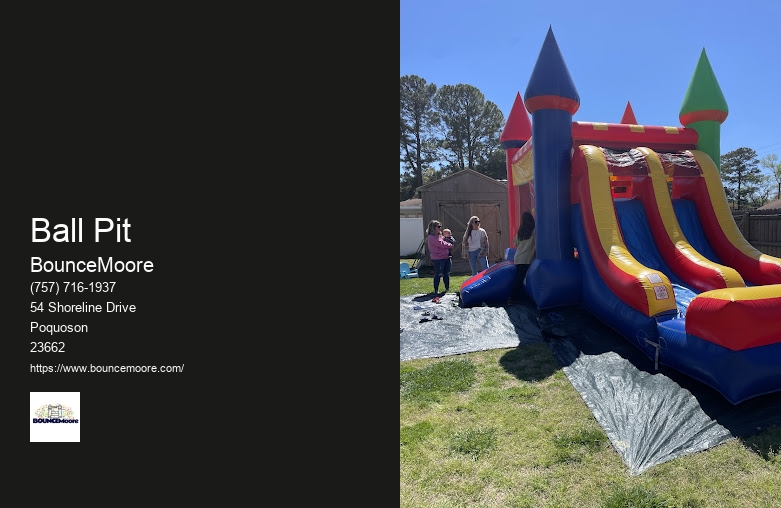 Inflatable Rentals For Birthday Parties