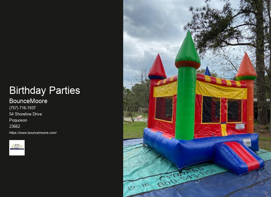 Inflatable Castle Rentals In Newport News Virginia