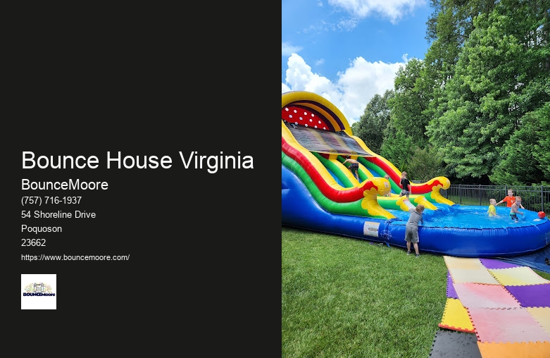 Virginia Bounce House Rentals