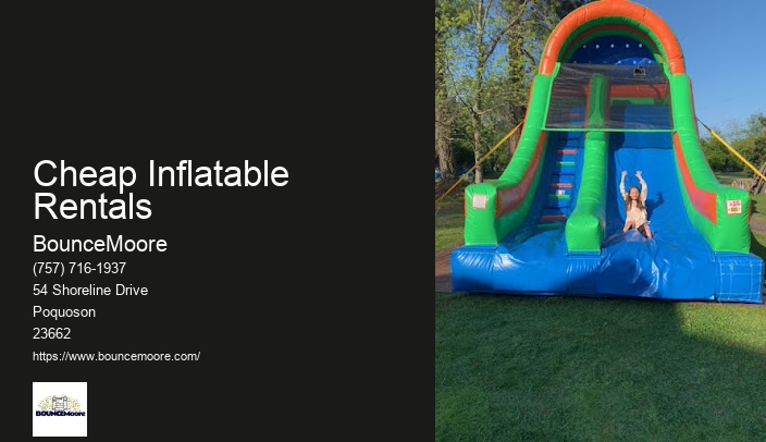 Backyard Inflatable Rentals