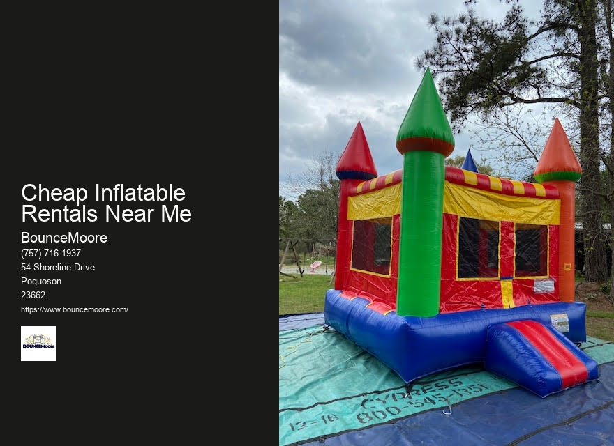 Inflatable Rentals For Birthday Parties