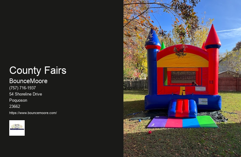 Party Inflatable Rentals