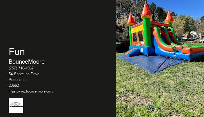 Birthday Party Rentals Virginia