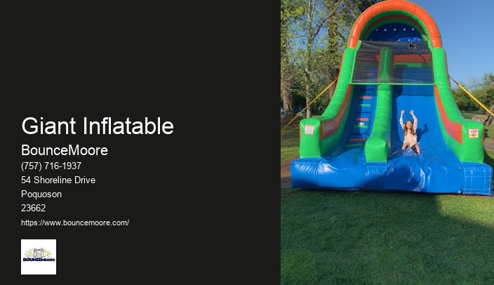 Bounce House Rental Requirements