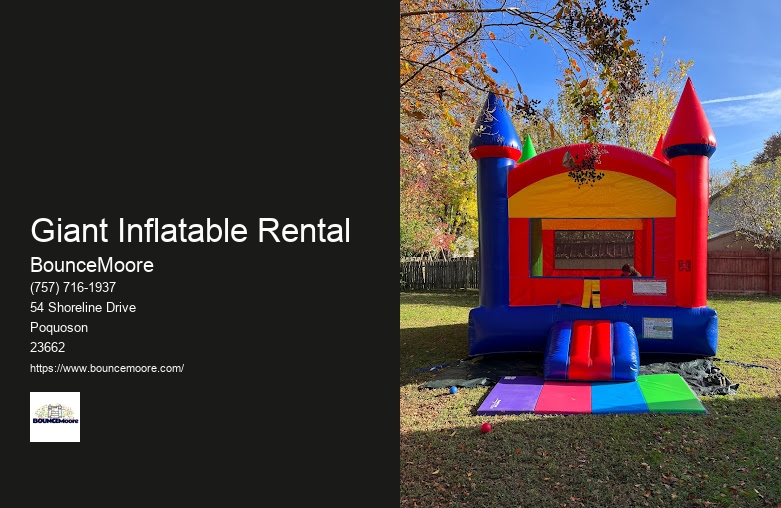 Inflatable Castle Rentals In Newport News Virginia