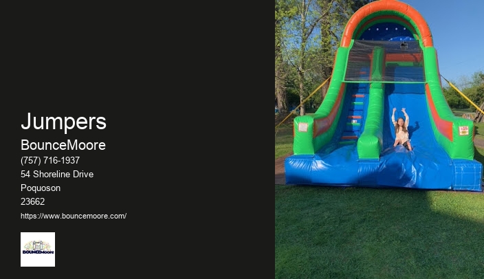 Inflatable Rentals For Adults Near Me