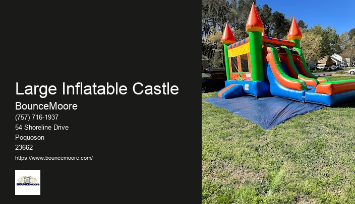 Inflatable Castle Rentals In Newport News Virginia