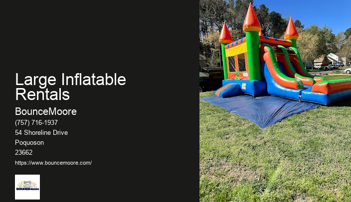 Inflatable Castle For Rent Virginia