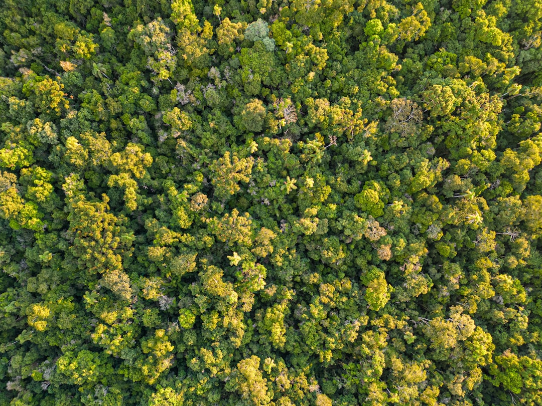 Kentucky land buyer