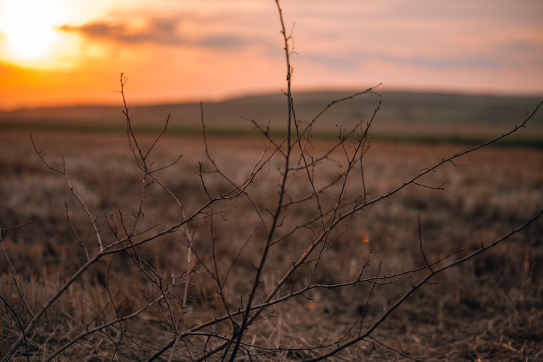 Online platforms for selling land in Hawaii