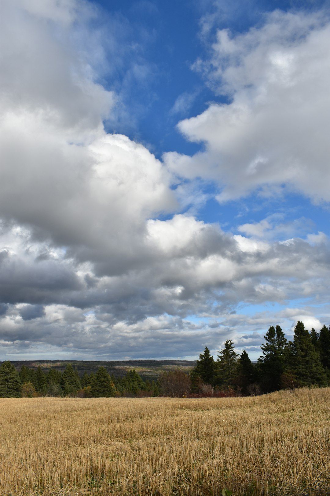 How to market your Hawaii land efficiently for a quick sale