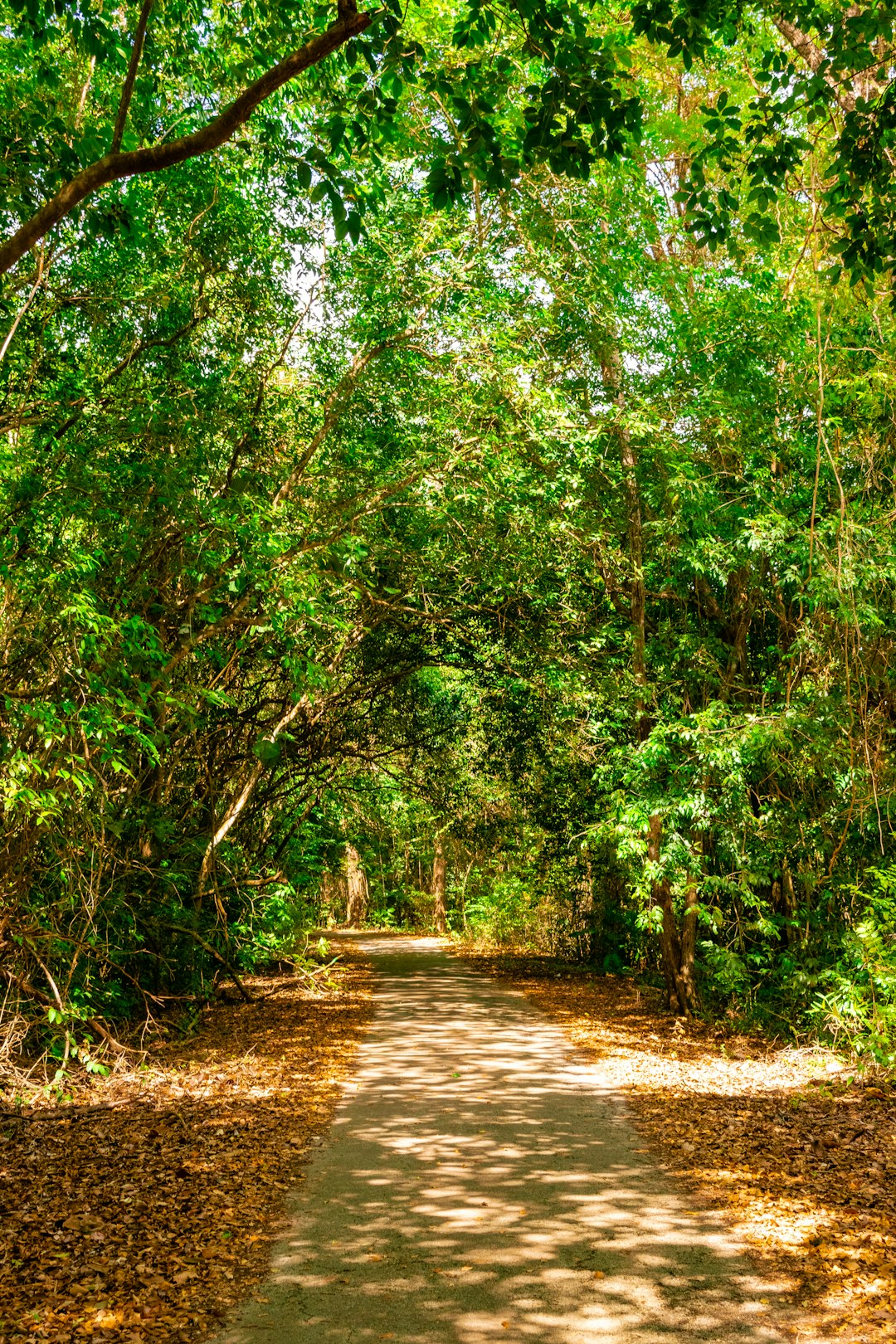 How to sell your Hawaii land promptly for money