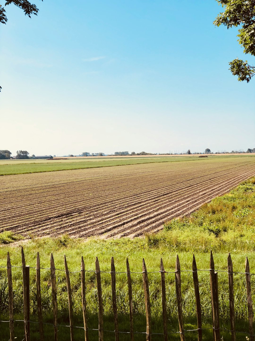 How to Sell Illinois Land Quickly for Cash