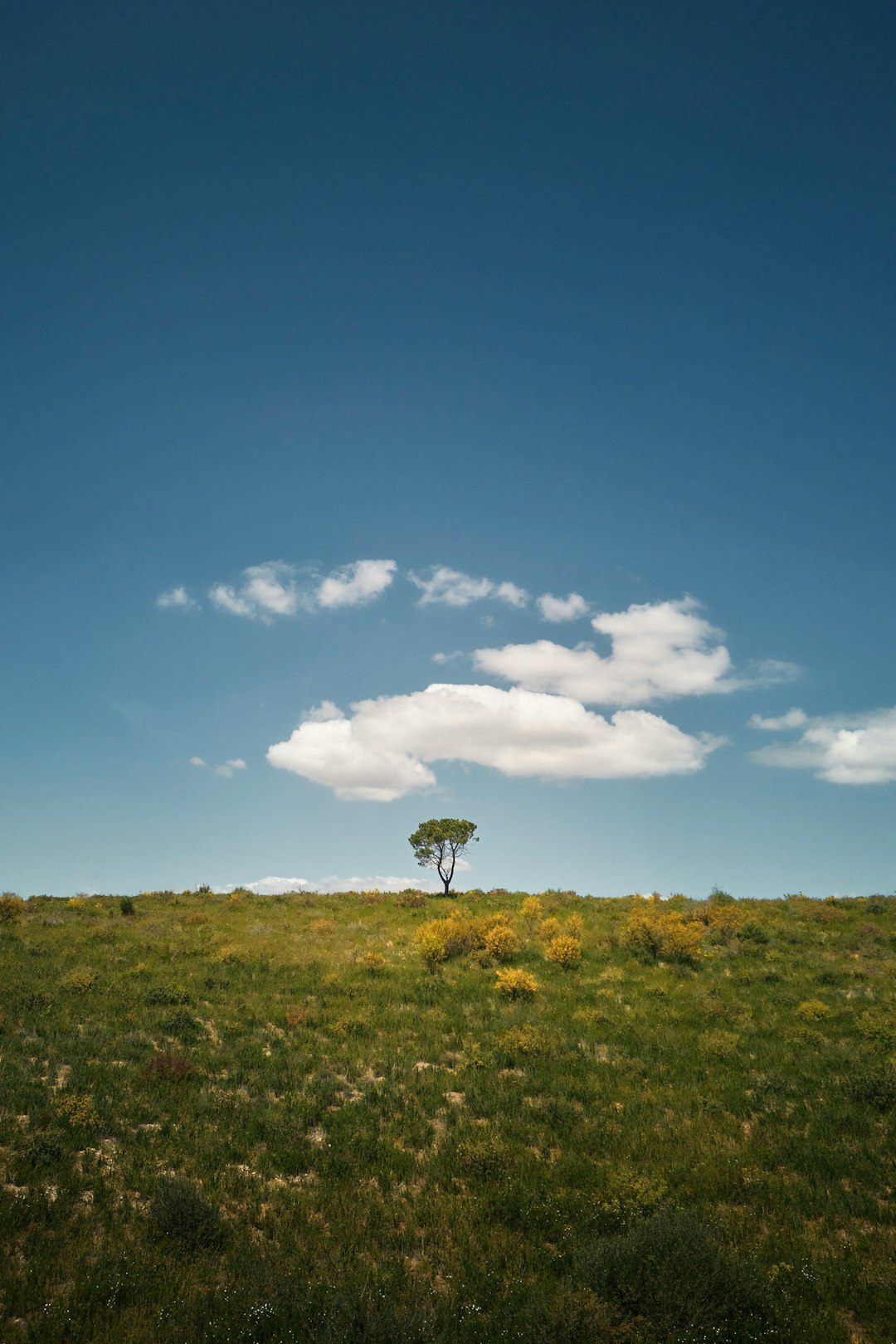 How to Work Out a Profitable Offer When Offering New Mexico Land