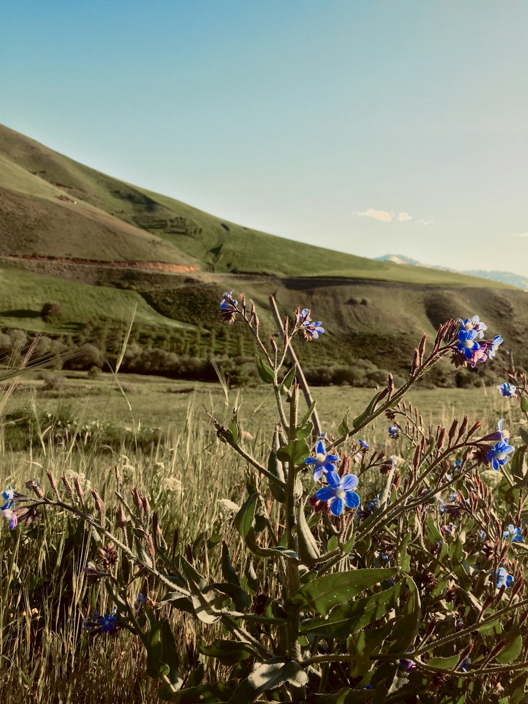 How to Market Your Idaho Land Swiftly for Cash