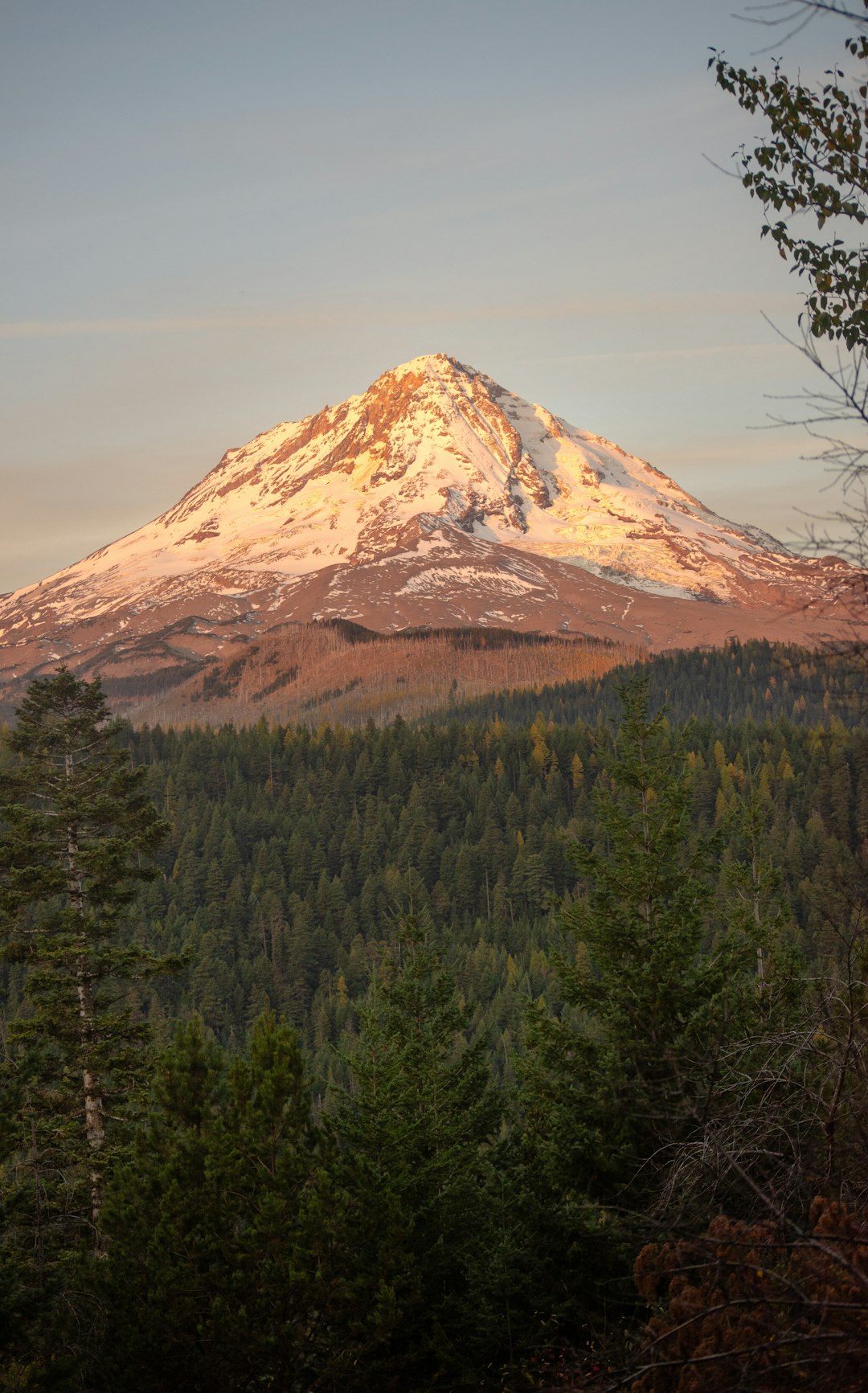 How to Offer Your Idaho Land Swiftly for Money