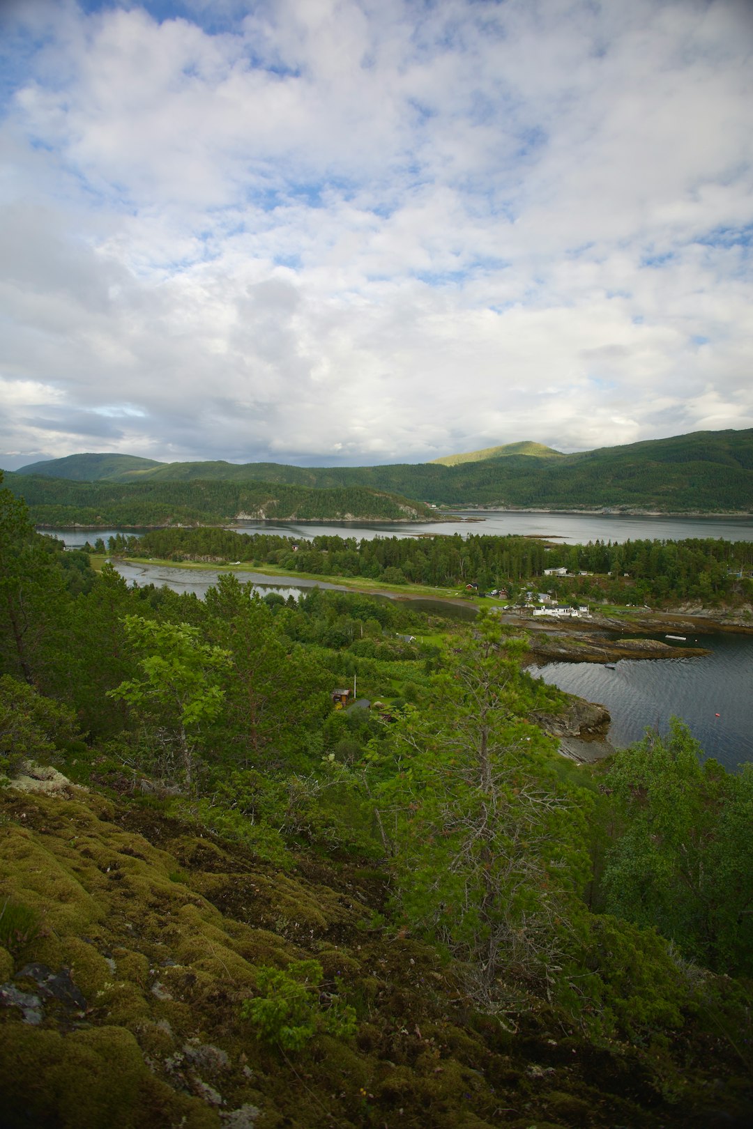 Understanding the Money Sale Process for Alaska Land