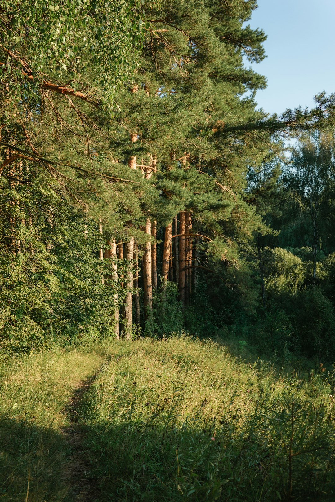 Marketing Your Oregon Land for a Cash Sale