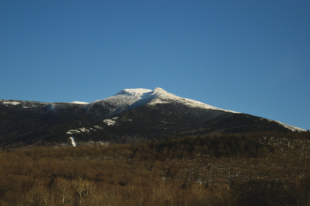 What is the Fastest Way to Sell Your Montana Land for Cash?  