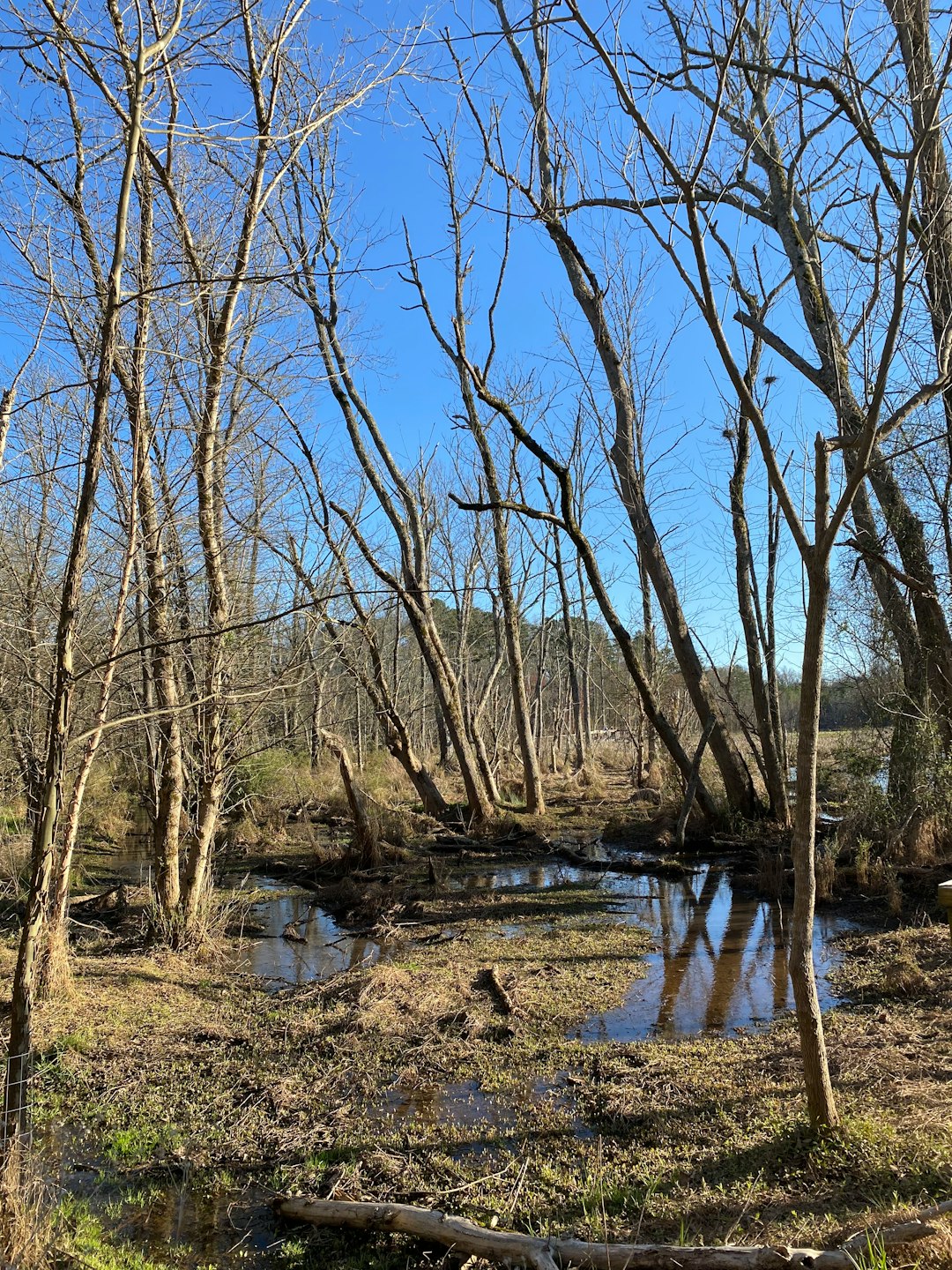 How to Discover Buyers Interested in Purchasing Your North Carolina Land for Cash