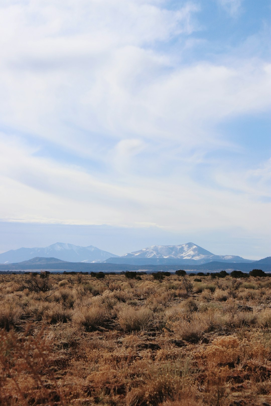 How to Use Online Platforms Properly to Sell Your Nebraska Land for Money