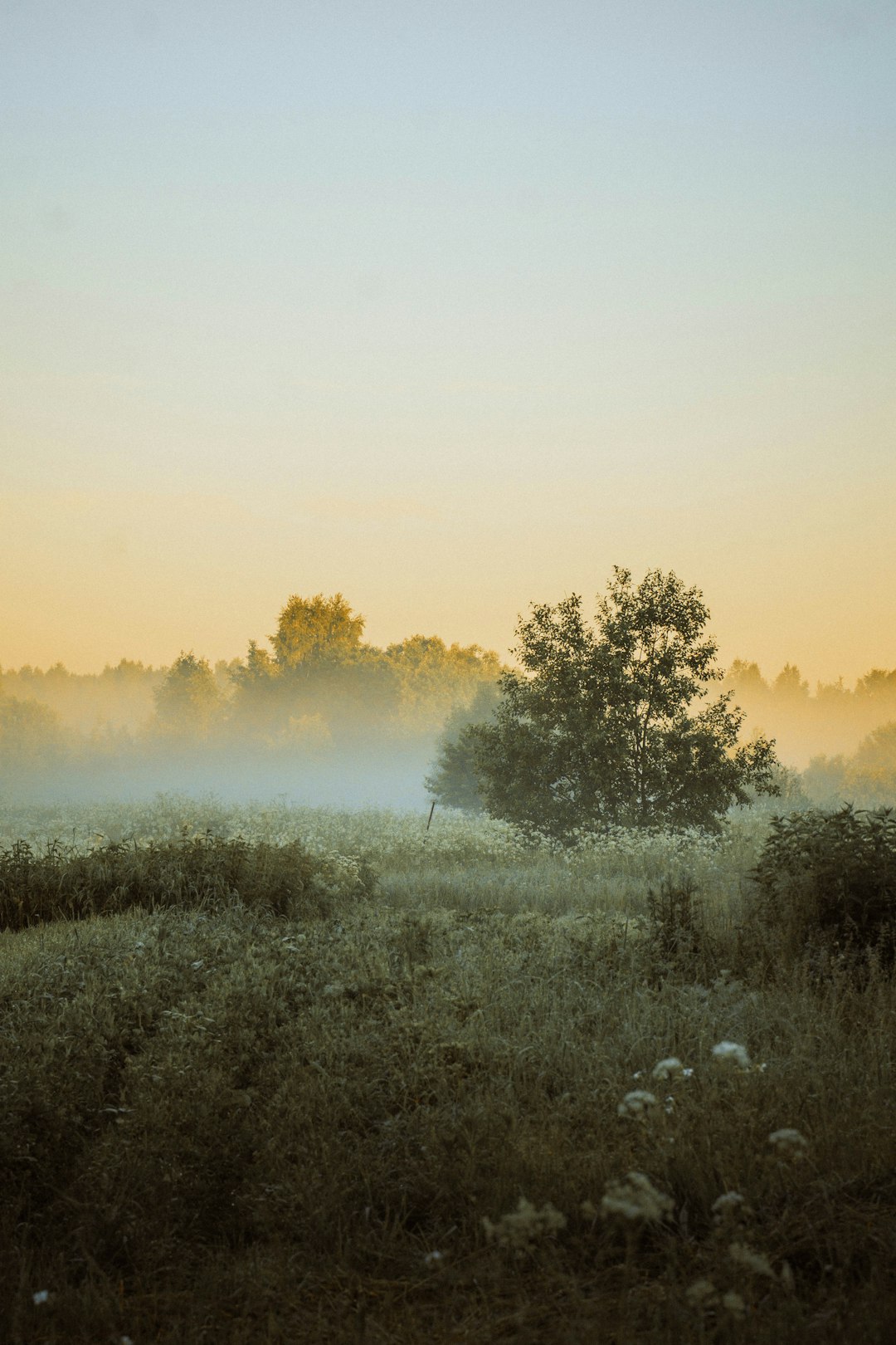 How to Make Use Of Online Platforms Properly to Sell Your Nebraska Land for Cash