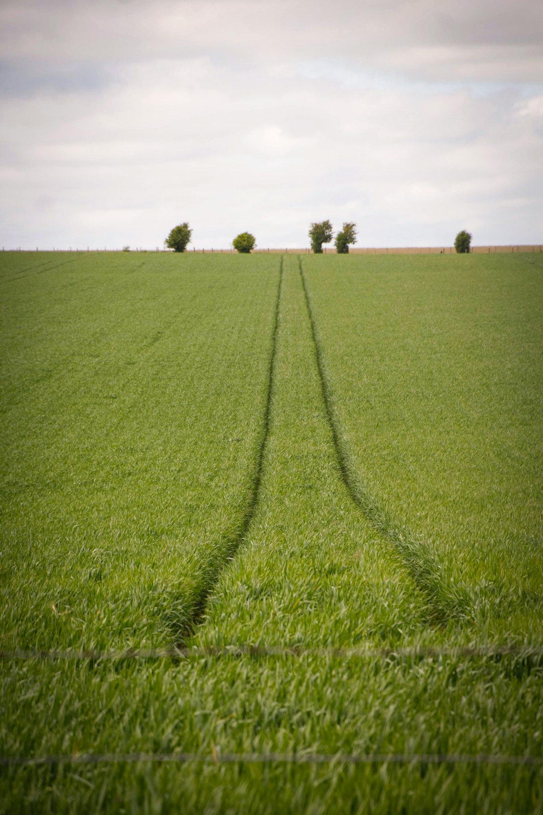 How to Use Online Platforms Effectively to Market Your Nebraska Land for Money