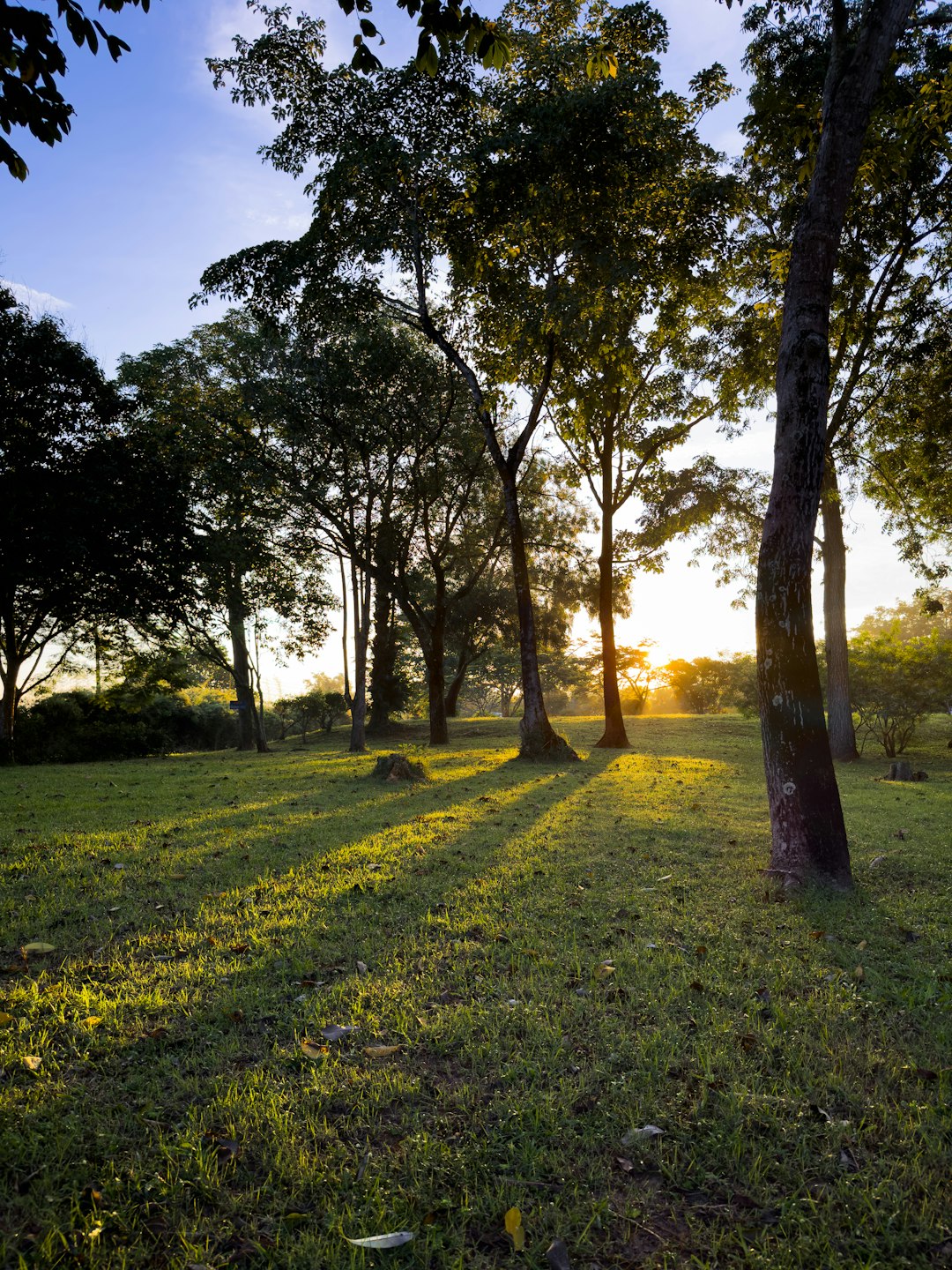 How to Market Your Maine Land Successfully to Attract Cash Customers