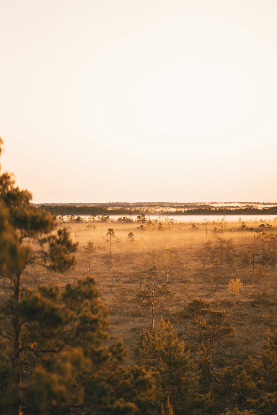 How to Discover Customers Fascinated in Investing In Maine Land for Cash