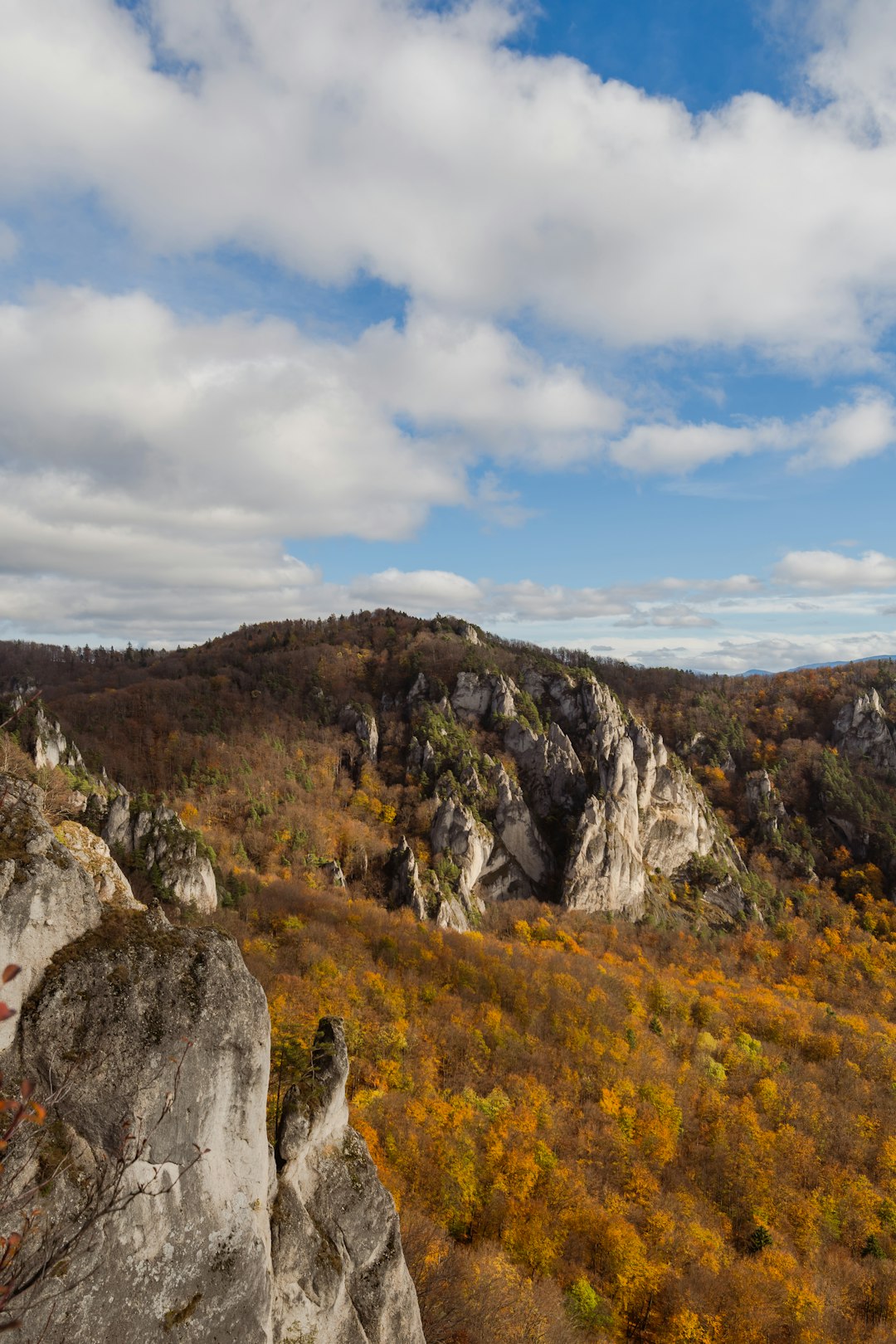 How to Find Customers Fascinated in Buying Maine Land for Cash