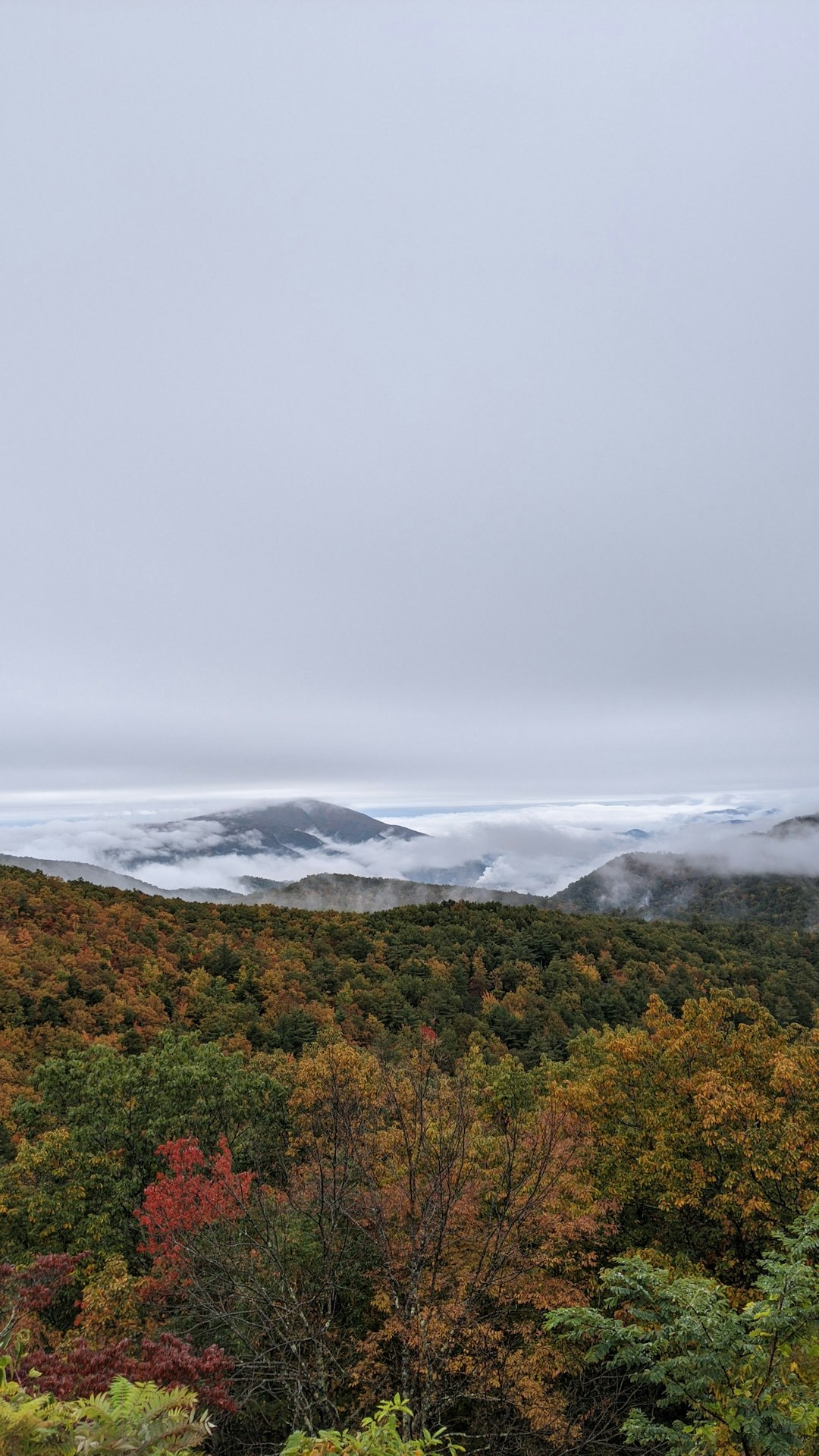 How to Quickly Offer Vacant Land in New Hampshire for Cash Money