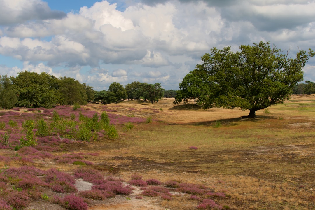 What is the value of Rhode Island land when sold for cash?